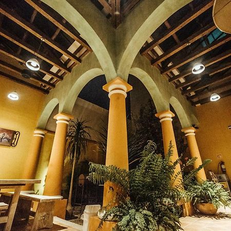 Snail Bed & Breakfast (Adults Only) San Cristóbal de Las Casas Esterno foto